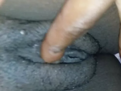 ઉશ્કેરણીજનક આંતરજાતી ...