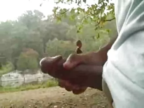 બોડેસિયસ જાપાનીઝ બેબ ...